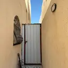 شينكو فقط لللبيع