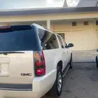 دينالي طويل 2010
