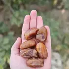 تمر اخلاص كهرماني