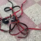 سرج خيل مع اغراضه