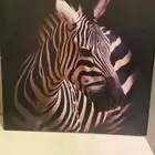 لوحة كأنفس