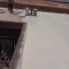 القصيم   حايل