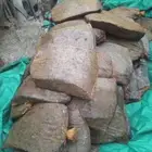 تمر دبس