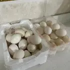 بيض بلدي