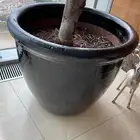 احواض زرعه من world of pots