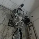 سيكل هيبز كلاسيكي