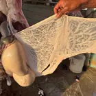 ذبايح تيوس