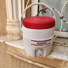 ترمس امريكي