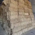 تبن قمح مستودع