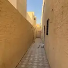 دور ارضي للايجار