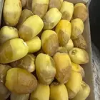 رطب تمر من المزرعة