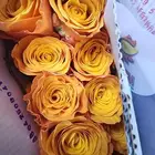 ورد جوري جملة