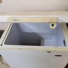 فليزر
