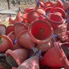 سقايات دواجن تماتيك