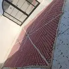 خيمة الماني