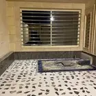 شبابيك حمايه ستانلس ستيل