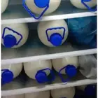حليب معزا للبيع