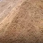 صبيز نضيف التحميل مجاني الملقى شمال الرياض