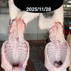 الليلة بنزل عرض جديد الكيلو تقريبا 52