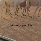 للبيع ذود طيب