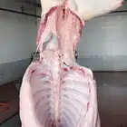 حاشي لباني مسحوب تحت امة البيع بالربع