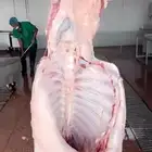 موعد الذبح يوم الجمعة بعد الصلاة