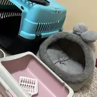 مستلزمات قطط