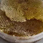 عسل شمع اصلي ومضمون
