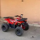 دباب