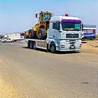 مسكس مكره الليث