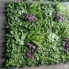 تنفيذ وتصميم للديكور