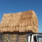 موجود تبن بور شده طيب