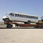 لوبد متواجد في الغأط الزلفي المجمعة شقراء