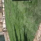 مشتل تنسيق حدائق