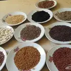 حبوب أكل بلجيكي لجميع الطيور مضاف عليها بذور الطاقة