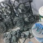 fan maxsema luxsej nomena