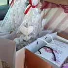 توصيل طرود امانات طيور قطط الخ..