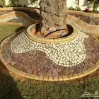 تنسيق حدائق أشجار وزهور