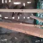للبيع حمام بري