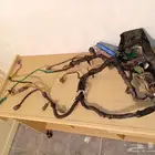 ظفيرة ار بي RB