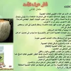 قطر عرف الأسد من شركة دكسن الماليزية DXN