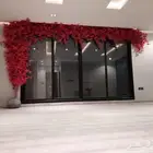 اشجار جهنمية