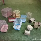 اقفاص للبيع