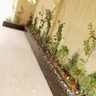 بناء احوض زرعه الاشجار و الثيل الطبيعي وتركيب شبكات ري