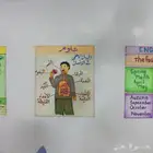 رسم مدارس رسام حوائط مناظر طبيعية لوحات توضيحيه لجميع المواد