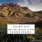 زعتر من جبال رضوى