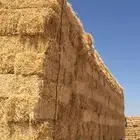 الدفع عند الاستلام