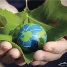 تقارير ودراسات بيئية لجميع المنشآت