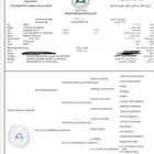 حصان مصري بيور