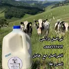 ألبان و مشتقاتها